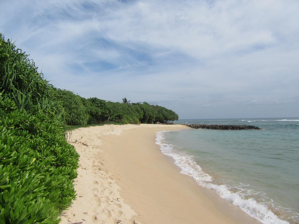 Colonial Surfing Villa Hostel & Home Stay Midigama Timur Bagian luar foto