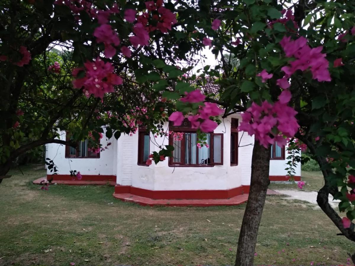 Colonial Surfing Villa Hostel & Home Stay Midigama Timur Bagian luar foto